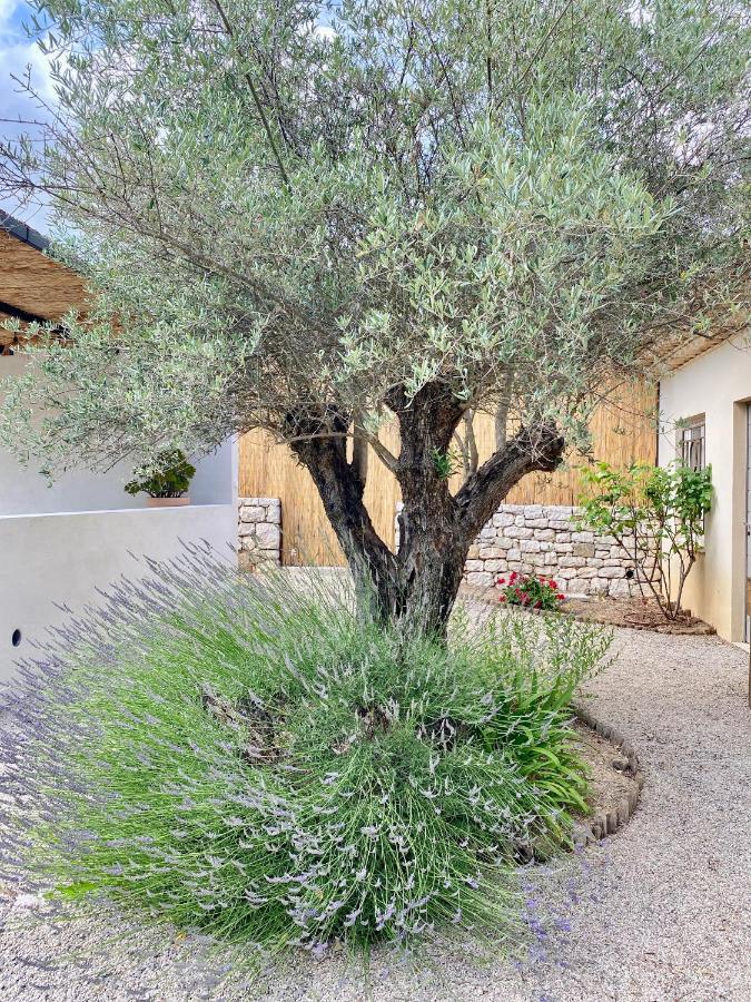 Le Cabanon Valbonne Leilighet Eksteriør bilde